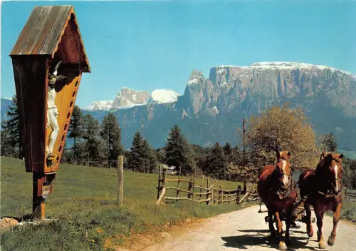 B69541 Italia Dolomiti Ritten Pferde chevaux italy