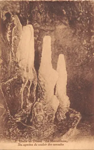 BR55652 Stalagmittes du couloir des cascades Grotte de Dinant la merveill belgien