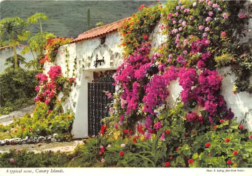 BG27665 eine typische Szene Kanarische Inseln Typ Folklore Spanien