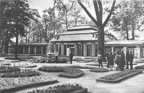 B40865 Petrodvoret Russland