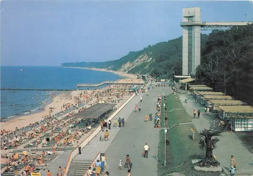 B46651 Svetalogordk russland