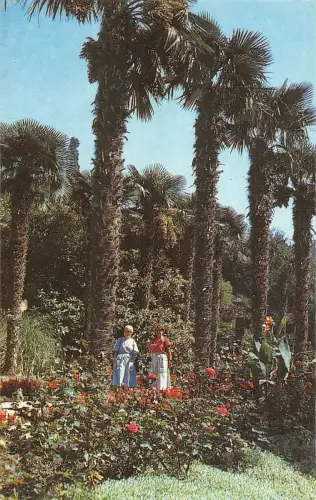 BT15672 Russland Russia