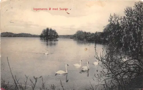 BC60540 Ingemanns O Med Svaner denmark