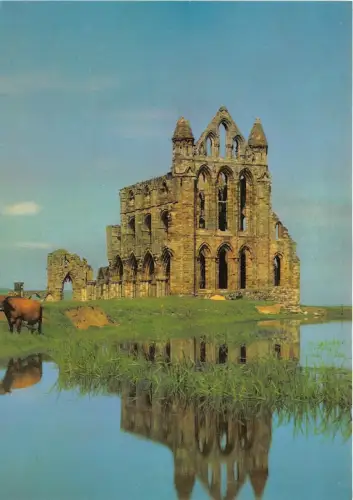 B87976 whitby abbey north yorkshire uk