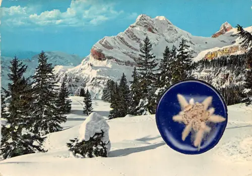 BR454 Italia Dolomiti italy