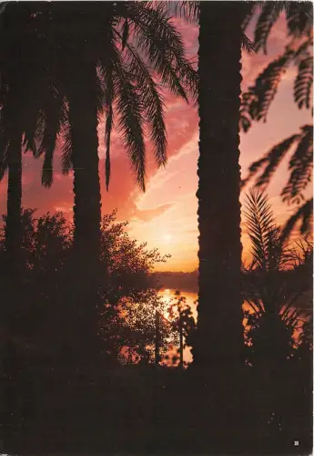 B40966 Shatt Al Arab Basrah Multiviews