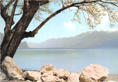 BG17889 lago di garda primavera italy