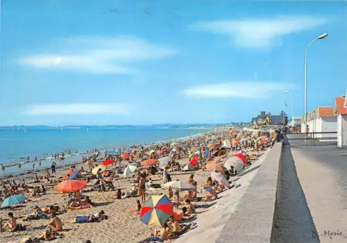 BR14515 Carolles la Plage France