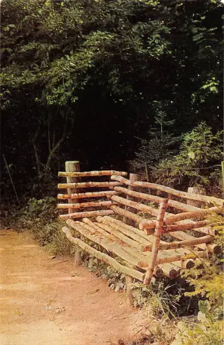 BT15630 Yasnaja Poljana Russland Tolstoi Tula