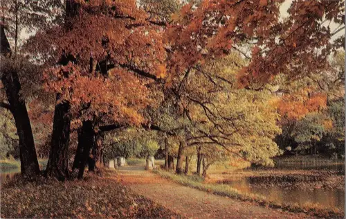 BT15924 ein Spaziergang im Park Puschkin Russland Sankt Petersburg
