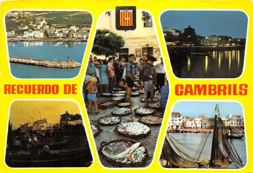 BG11990 Cambrils Fisch Peche Vista Aerea Embarcadero Nocturna Subasta Spanien