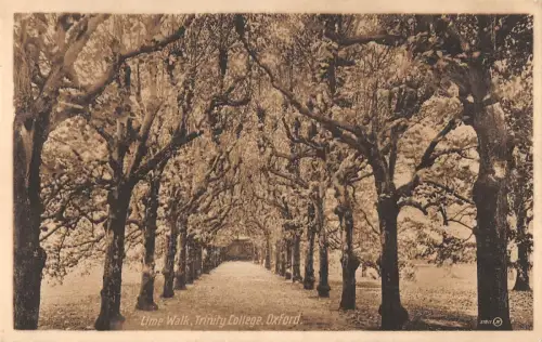 BR94048 lime walk trinity college oxford uk