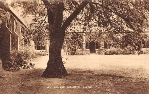 BR60927 new college cloisters oxford uk