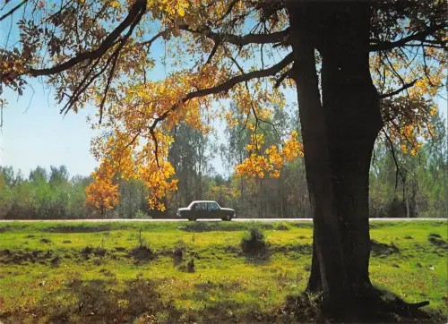 BT13681 In der Umgebung von Smolensk Russland