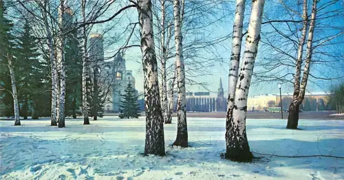 BR57444 Kreml Moskau 19x10cm Russland 8