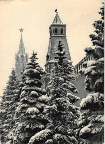 BT15998 Moskau im Kreml Russland