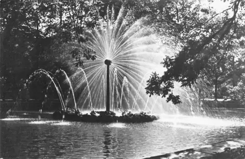 B97867 Petrodvoret Russland Echtfoto