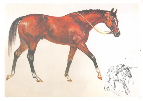 BR71967 Russland Cheval Pferd Tier Animaux