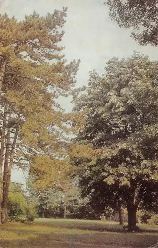 Lot163 Dorf Tsaul Russland