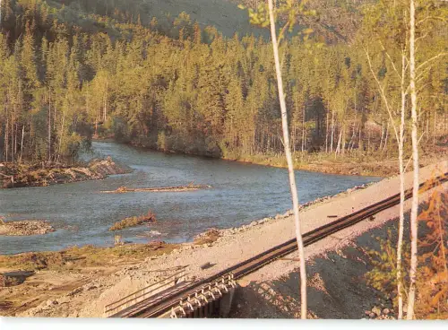 B110446 Bainal Amurskaya Fluss Wald Landschaft Bäume Russland