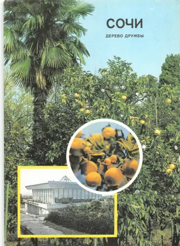 B110071 Russland Sotschi Baum der Freundschaft Gebäude