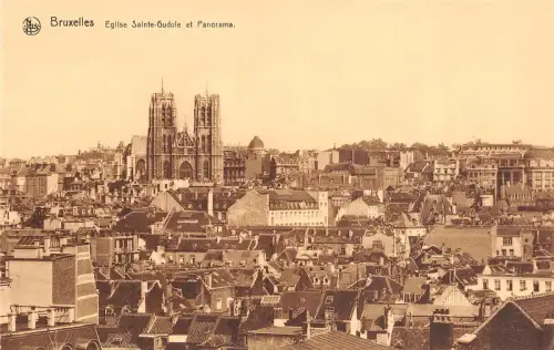 Br35050 Bruxelles Eglise Sainte Gudule et panorama belgien