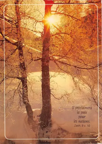 B51468 Il Proclamera la paix pour les nations Landschaftsbaum Arbres Frankreich