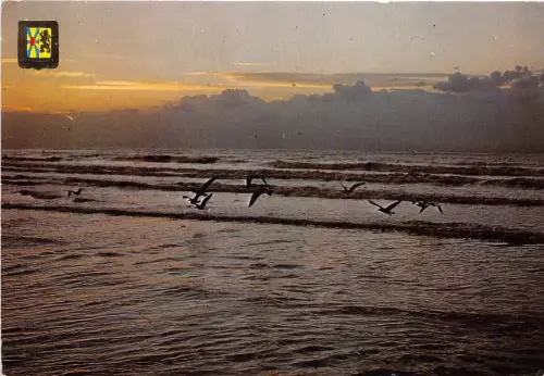 BG5250 un bonjour de la cote belge belgium