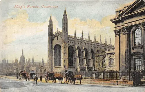 uk23779 kings parade cambridge uk horse