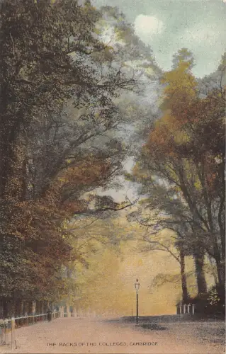 uk27434 the backs of the colleges cambridge uk