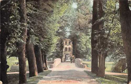 uk28351 trinity avenue cambridge real photo uk