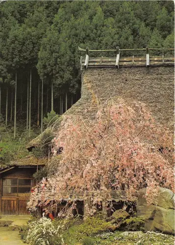 BG21135 kyoto royal hotel japan