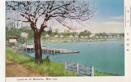 BF27969 lakeside of senba ko mito city japan front/back image