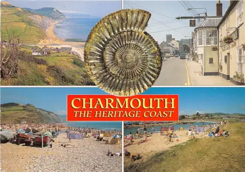 BT18432 charmouth the heritage coast uk