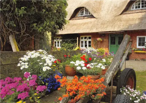 B54076 Blumen Fleurs