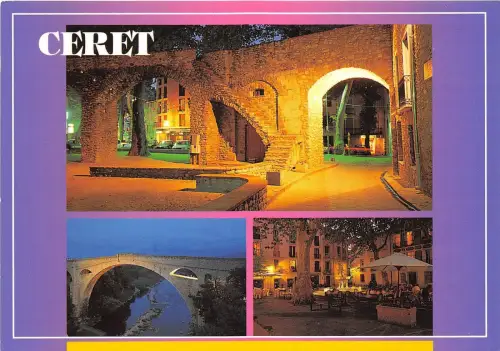 BR15979 Ceret Frankreich