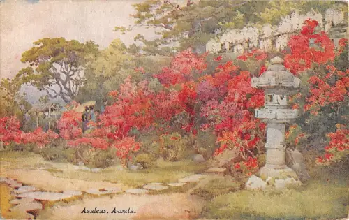 BR45244 Azaleen awata japan