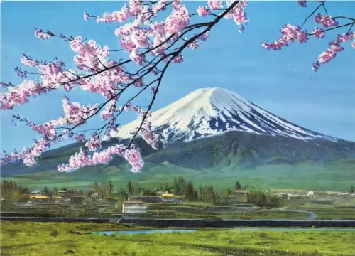 B90126 mt Fidschi und Kirschblüten See Kawaguchi Japan