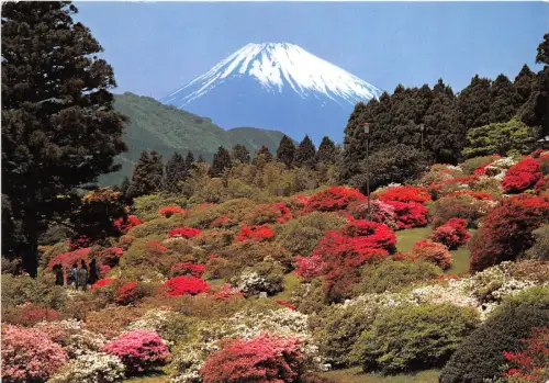 B90142 mt fuji in early spring japan