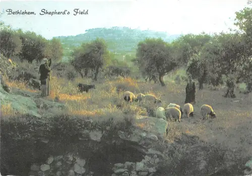 B73011 Bethlehem, Hirtenfeld Israel