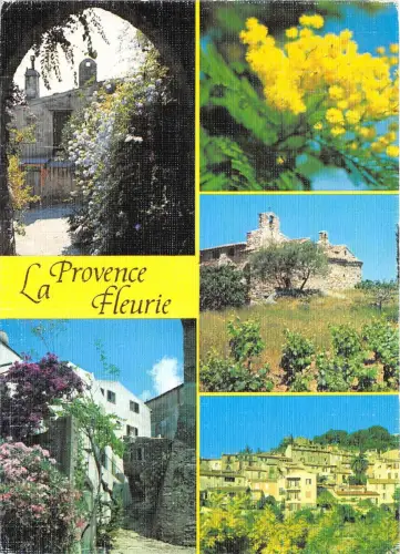 B50056 Provence Fleurie Frankreich