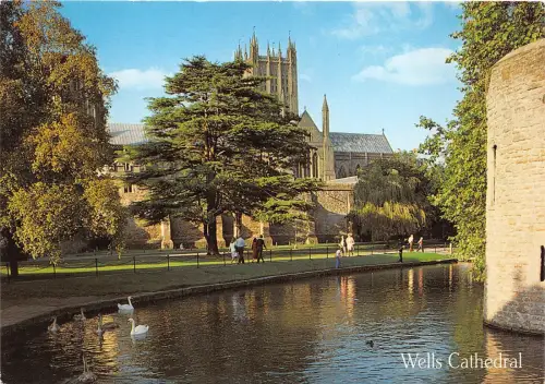 B87883 wells cathedral uk
