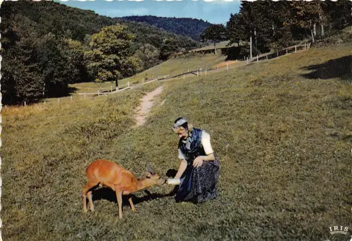 BR9556 Elsass Vallee de Munster La jeune fille et la Biche france