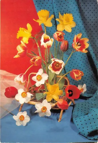 B52138 Blumen Fleurs Armonia Narzisen Tulipanen