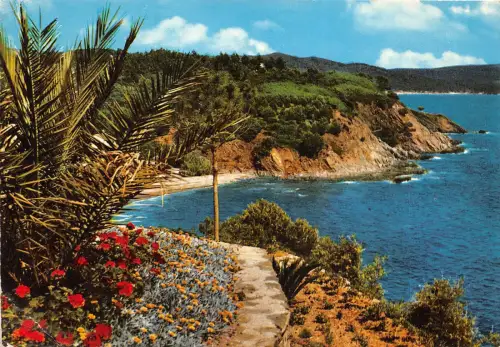 BR14716 Calanques et vegetation mediterraneennes frankreich
