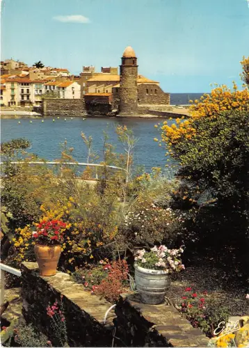 B50961 Collioure Le vieux port france
