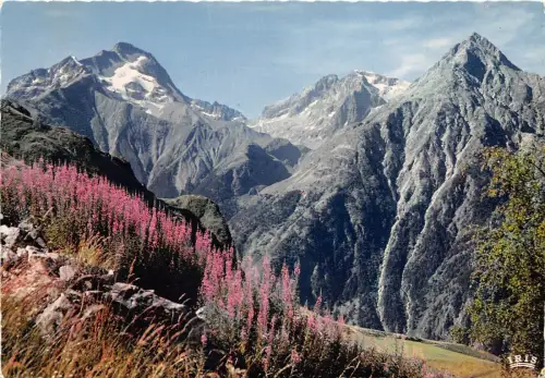 BR21588 Les belles Alpes Fleuries Blumen Frankreich