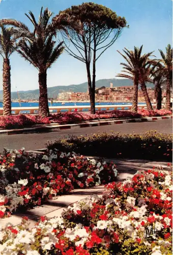 BR14167 Cannes la Croisette Frankreich