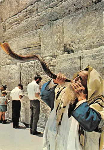 BR4283 Bläst den Sofar an der Klagemauer Jerusalem Israel