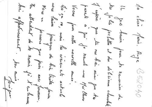 B52040 Fleurs Flowers